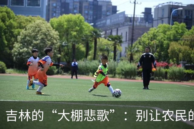 吉林的“大棚悲歌”：别让农民的希望变成闲置的墓碑
